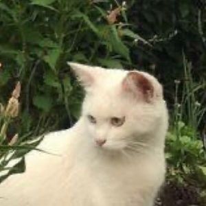 Meet your Posher, Ryleigh